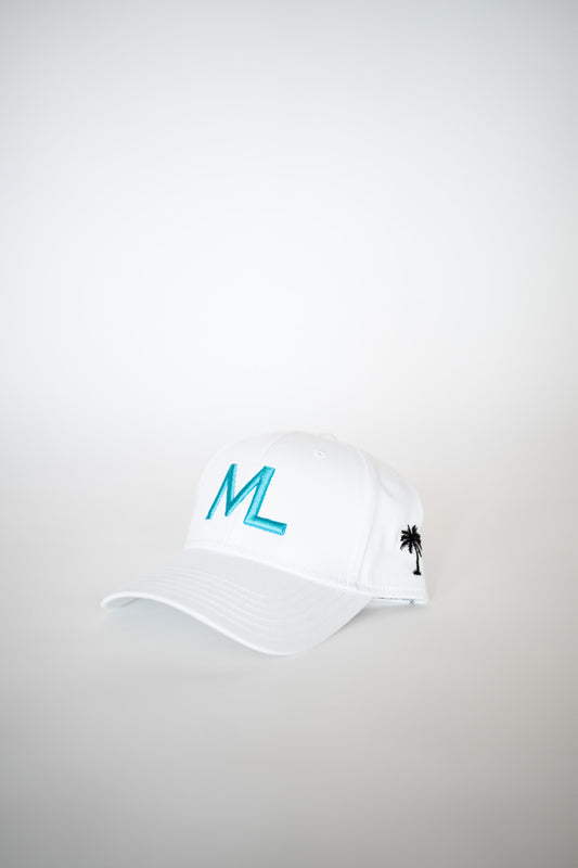ML HAT