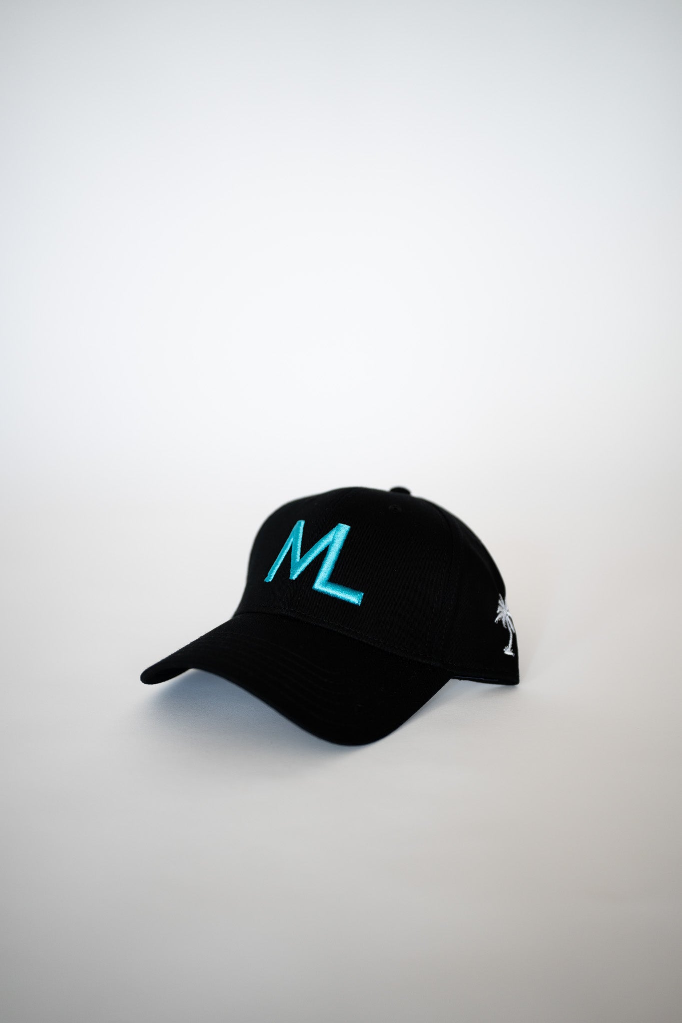 ML HAT